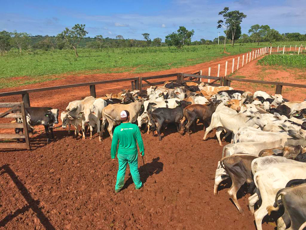 Fazenda São Jorge e Santa Catarina