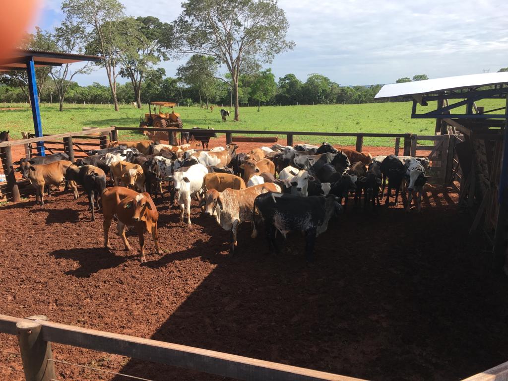 Fazenda São Jorge e Santa Catarina