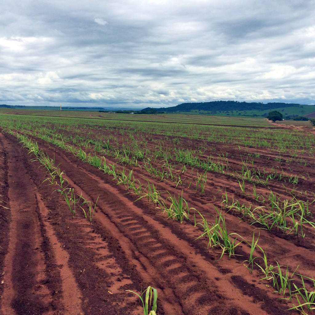 Fazenda Santa Clara